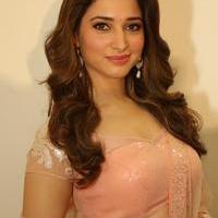 Tamanna Latest Cute Gallery | Picture 1005125