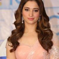 Tamanna Latest Cute Gallery | Picture 1005158
