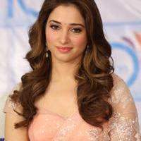 Tamanna Latest Cute Gallery | Picture 1005172