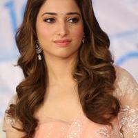 Tamanna Latest Cute Gallery | Picture 1005173