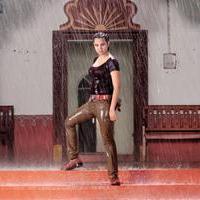 Priyanka Kothari - Bullet Rani Movie Latest Gallery | Picture 1026478