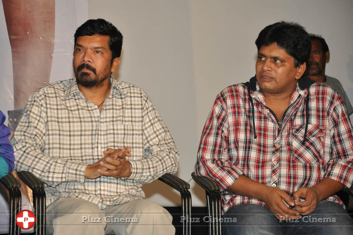Dhee Ante Dhee Movie Platinum Disc Function Stills | Picture 1030562