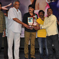 Dhee Ante Dhee Movie Platinum Disc Function Stills | Picture 1030528