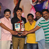 Dhee Ante Dhee Movie Platinum Disc Function Stills | Picture 1030529