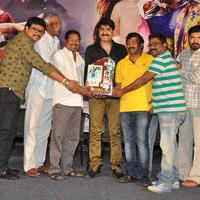 Dhee Ante Dhee Movie Platinum Disc Function Stills | Picture 1030532