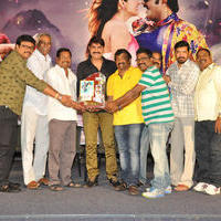 Dhee Ante Dhee Movie Platinum Disc Function Stills | Picture 1030533
