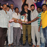 Dhee Ante Dhee Movie Platinum Disc Function Stills | Picture 1030534