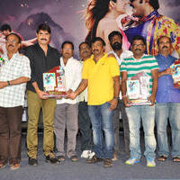 Dhee Ante Dhee Movie Platinum Disc Function Stills | Picture 1030536