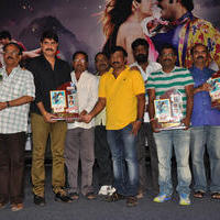 Dhee Ante Dhee Movie Platinum Disc Function Stills | Picture 1030537