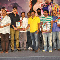 Dhee Ante Dhee Movie Platinum Disc Function Stills | Picture 1030541