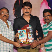Dhee Ante Dhee Movie Platinum Disc Function Stills | Picture 1030549