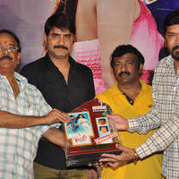 Dhee Ante Dhee Movie Platinum Disc Function Stills | Picture 1030571