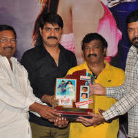 Dhee Ante Dhee Movie Platinum Disc Function Stills | Picture 1030582
