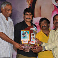 Dhee Ante Dhee Movie Platinum Disc Function Stills | Picture 1030624