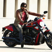 Ravi Teja Latest Stills | Picture 1031224