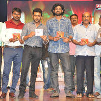 Rakshasudu Movie Audio Launch Photos | Picture 1034200