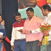 Rakshasudu Movie Audio Launch Photos | Picture 1034217