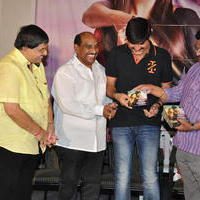 Seenugadi Love Story Movie Audio Launch Photos | Picture 1035173