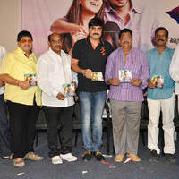 Seenugadi Love Story Movie Audio Launch Photos | Picture 1035175