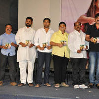 Seenugadi Love Story Movie Audio Launch Photos | Picture 1035178