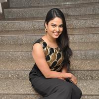 Chitralekha at Lion Movie Success Meet Photos | Picture 1035948