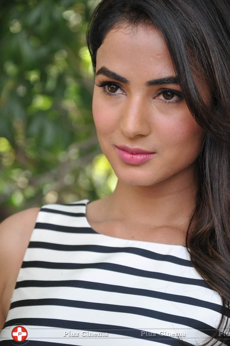 Sonal Chauhan Latest Photos | Picture 1037645