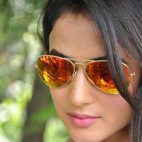Sonal Chauhan Latest Photos | Picture 1037627