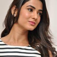 Sonal Chauhan Latest Photos | Picture 1037634