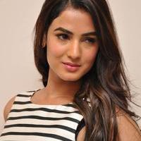 Sonal Chauhan Latest Photos | Picture 1037640