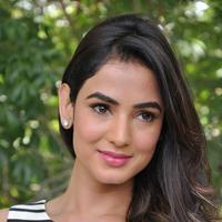 Sonal Chauhan Latest Photos | Picture 1037643