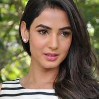 Sonal Chauhan Latest Photos | Picture 1037657