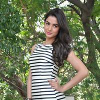 Sonal Chauhan Latest Photos | Picture 1037683