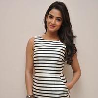 Sonal Chauhan Latest Photos | Picture 1037698