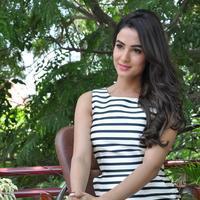 Sonal Chauhan Latest Photos | Picture 1037742