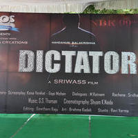 Dictator Movie Opening Stills | Picture 1038705