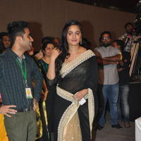Anushka Shetty at Size Zero Movie Audio Launch Photos | Picture 1150464