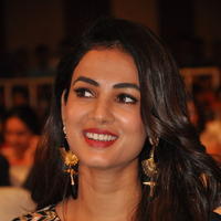 Anushka Shetty at Size Zero Movie Audio Launch Photos