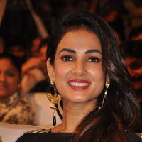 Sonal Chauhan at Size Zero Movie Audio Launch Stills | Picture 1150562