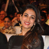 Sonal Chauhan at Size Zero Movie Audio Launch Stills | Picture 1150565