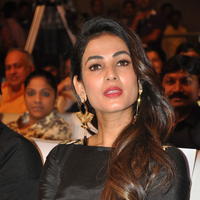 Sonal Chauhan at Size Zero Movie Audio Launch Stills | Picture 1150566