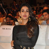 Sonal Chauhan at Size Zero Movie Audio Launch Stills | Picture 1150572