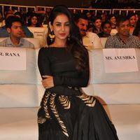 Sonal Chauhan at Size Zero Movie Audio Launch Stills | Picture 1150582