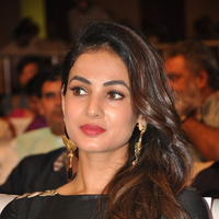 Sonal Chauhan at Size Zero Movie Audio Launch Stills | Picture 1150584