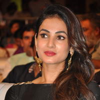 Sonal Chauhan at Size Zero Movie Audio Launch Stills | Picture 1150585