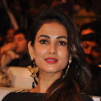 Sonal Chauhan at Size Zero Movie Audio Launch Stills | Picture 1150587