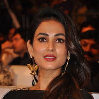 Sonal Chauhan at Size Zero Movie Audio Launch Stills | Picture 1150588