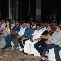 Celebs at South India IIFA UTSAVAM Press Meet Stills | Picture 1152286