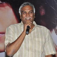 Tammareddy Bharadwaja - Maanja Movie Audio Launch Photos