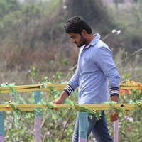 Pavan Siddhu - Ayyo Rama Movie Gallery | Picture 1153005