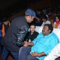 Akhil Movie Platinum Disc Function Stills | Picture 1155683